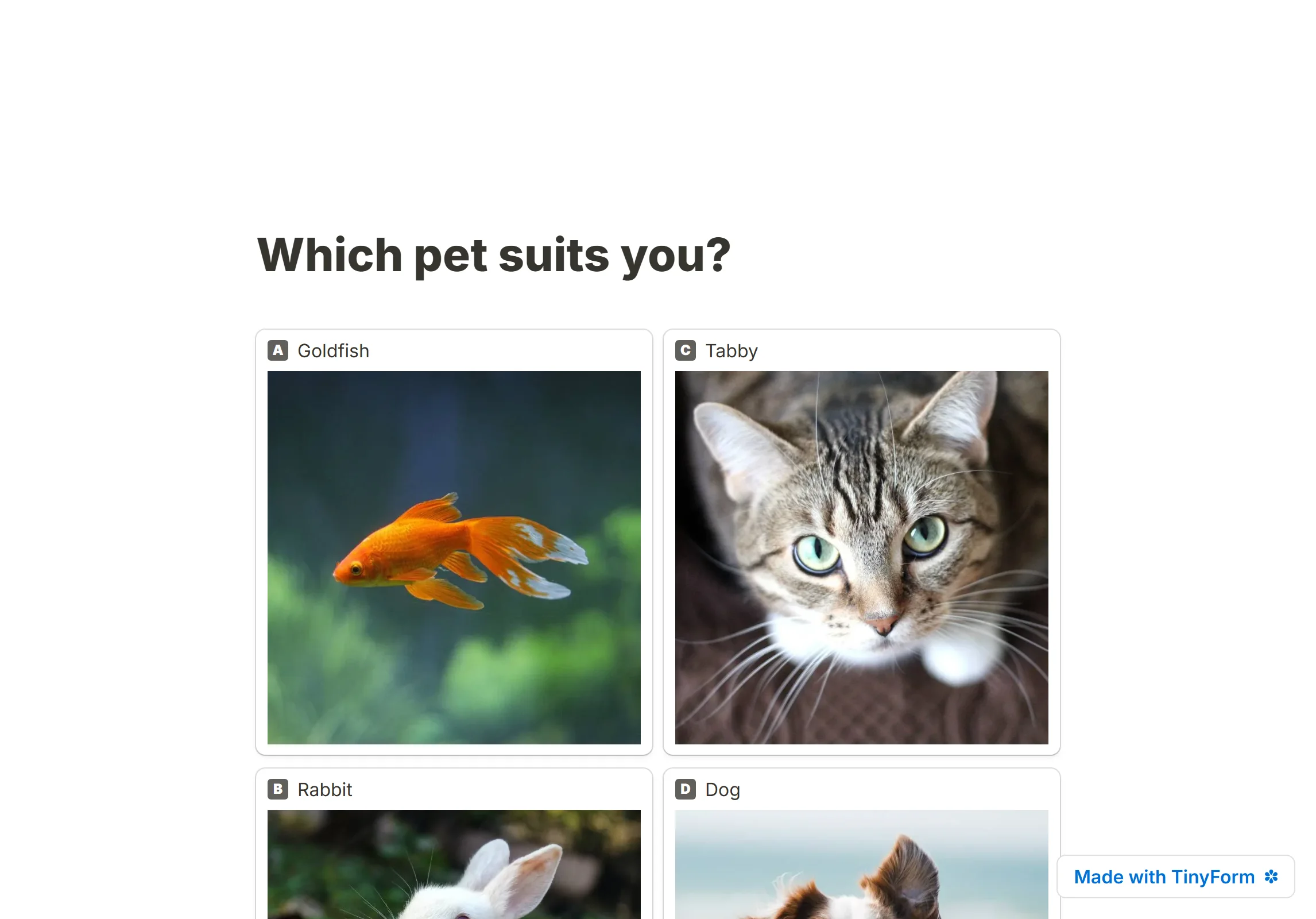 A published pick-one question drawn as a picture grid, two options to a row, each with a photograph of its own
